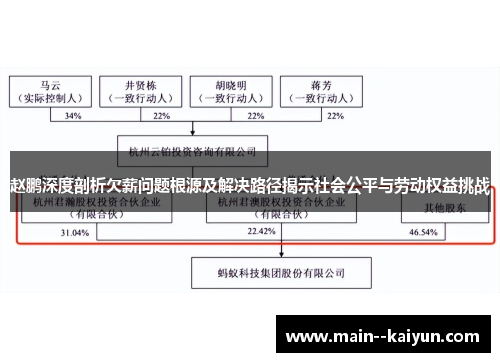赵鹏深度剖析欠薪问题根源及解决路径揭示社会公平与劳动权益挑战